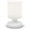 LUMISKY Lampe De Table Sans Fil LED Blanc Chaud LILY W21 H21cm
