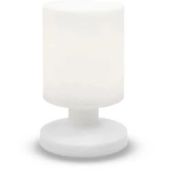 LUMISKY Lampe De Table Sans Fil LED Blanc Chaud Dimmable LILY W26 H26cm