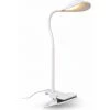 B.K.Licht Lampe De Lecture à Pince, Flexible & Pivotante, Platine LED 3,5W, 350Lm, Lumière Blanche Chaude 3000K, Lampe De Bureau, Hauteur 40cm