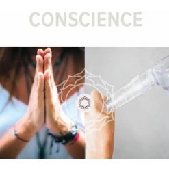 7CHAKRAS SHOWER Tubo Conscience Quartz Blanc