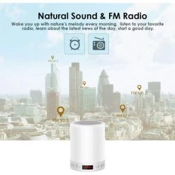 BRIDAY Lampe De Chevet Avec Haut-parleur Bluetooth Avec Radio FM Et Réveil Numérique Avec Horloge Numérique USB Touch Control Veilleuse RGB Changement De Couleur De Carte TF Coloré -Lampe Soldes Boutique 28492334 3