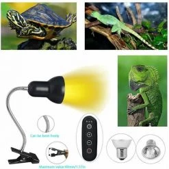 LED Ampoules UVA UVB ,Lampe Reptiles Lampe Tortue Terrestre Chauffante Avec Base Longue Pour Reptiles Et Amphibiens[Classe énergétique A +] Lampe à Poser LITZEE -Lampe Soldes Boutique 57658669 4