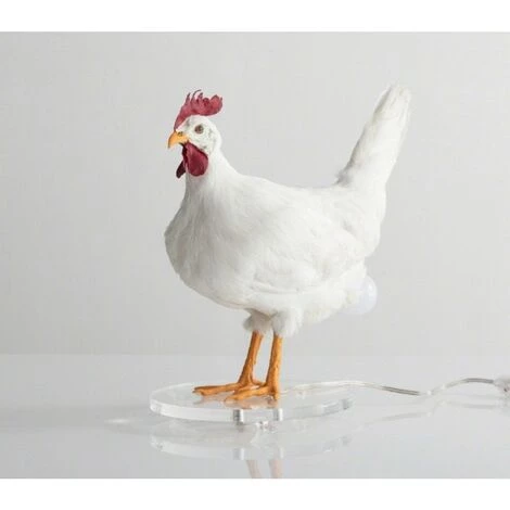 REGALI Poulet Led Lampe Oeuf Veilleuse Taxidermie Oeuf Lampe De Bureau 2 REGALI Poulet Led Lampe Oeuf Veilleuse Taxidermie Oeuf Lampe De Bureau – Image 2