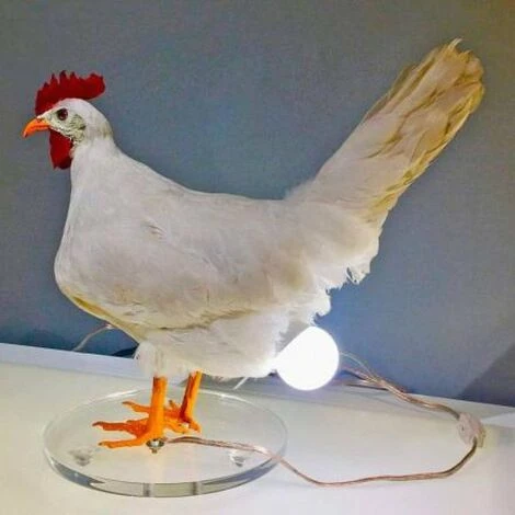 REGALI Poulet Led Lampe Oeuf Veilleuse Taxidermie Oeuf Lampe De Bureau 3 REGALI Poulet Led Lampe Oeuf Veilleuse Taxidermie Oeuf Lampe De Bureau – Image 3