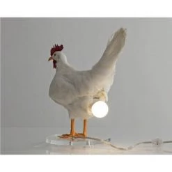 REGALI Poulet Led Lampe Oeuf Veilleuse Taxidermie Oeuf Lampe De Bureau 9 REGALI Poulet Led Lampe Oeuf Veilleuse Taxidermie Oeuf Lampe De Bureau -Lampe Soldes Boutique 59852825 5