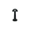 VICTORIA Creative Dining Table Metal Decorative Table Lamp USB Rechargeable Touch Night Light ,A Tricolore + Gradation Par Induction Noir Mat