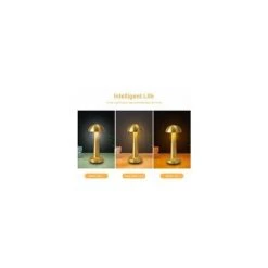 VICTORIA Creative Dining Table Metal Decorative Table Lamp USB Rechargeable Touch Night Light ,A Tricolore + Gradation Par Induction Noir Mat -Lampe Soldes Boutique 68296673 5